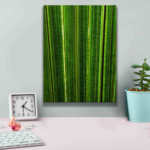 Latitude Run® " The Great Green Wall " Wayfair